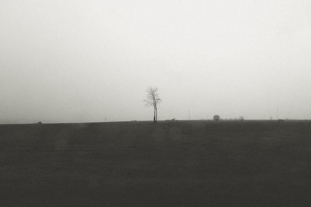 Photo veniturile pasive