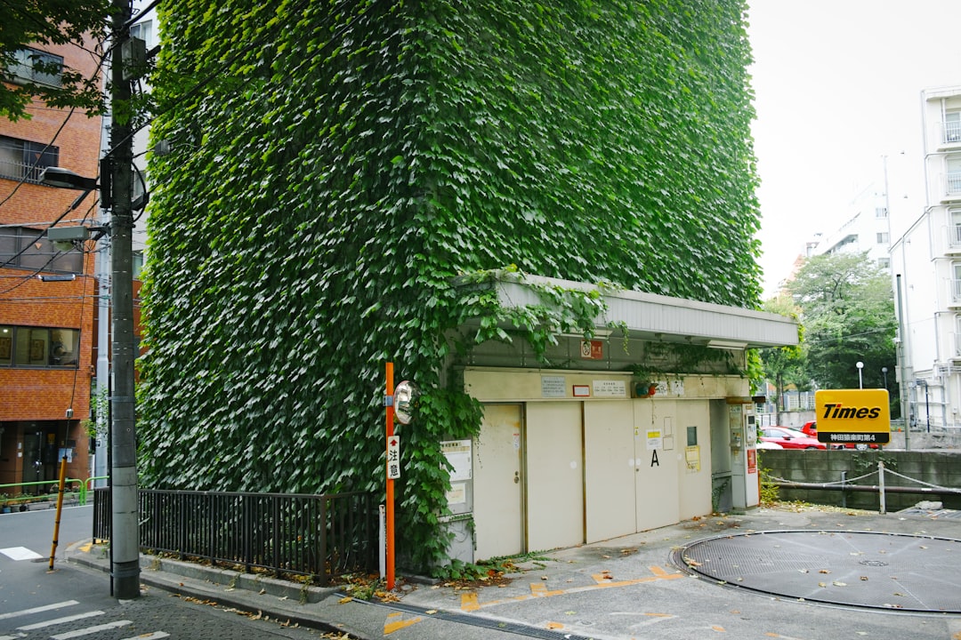 Photo amenajare spații verzi