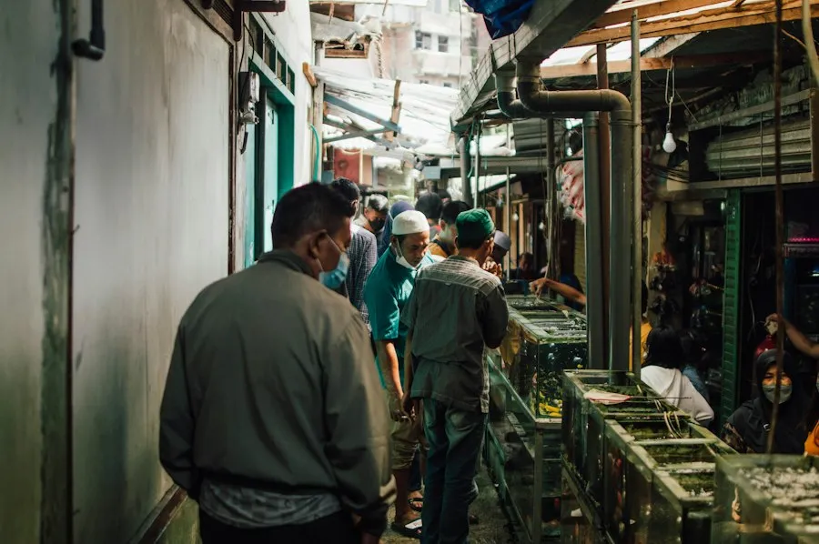 Photo labor market overview