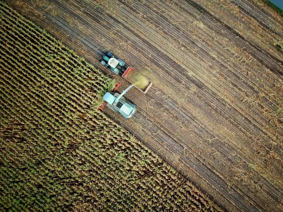common agriculture mistakes